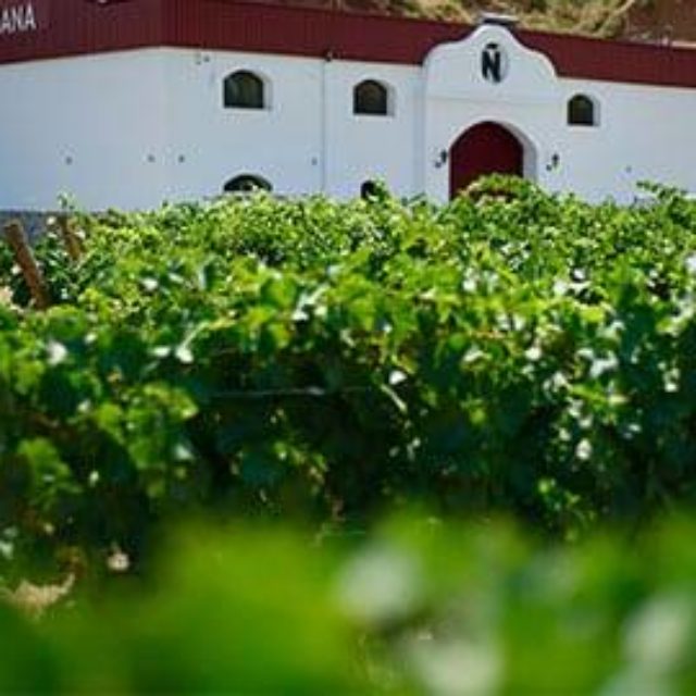 BODEGAS SEÑORÍO NARARÍ